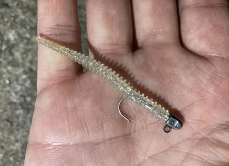 アジングイベント