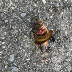 遠征ライトゲーム！