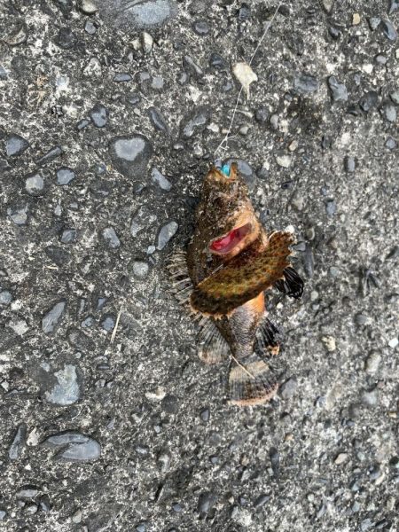 遠征ライトゲーム！