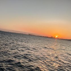 釣果情報に乗せられて・・・。