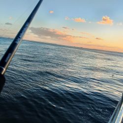 もう、終了ですか？