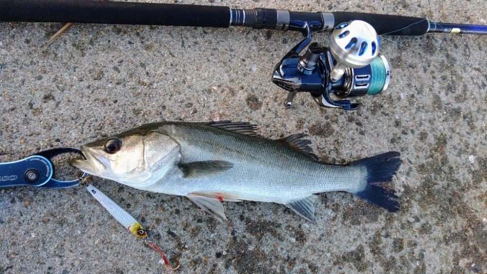 ぶらショアジギー！！