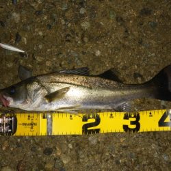 静けさの中での、まさかのHit！