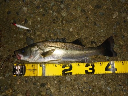 静けさの中での、まさかのHit！