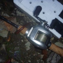 10月バス　その２