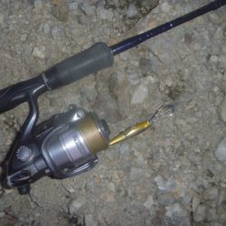 秋の淡水魚釣り