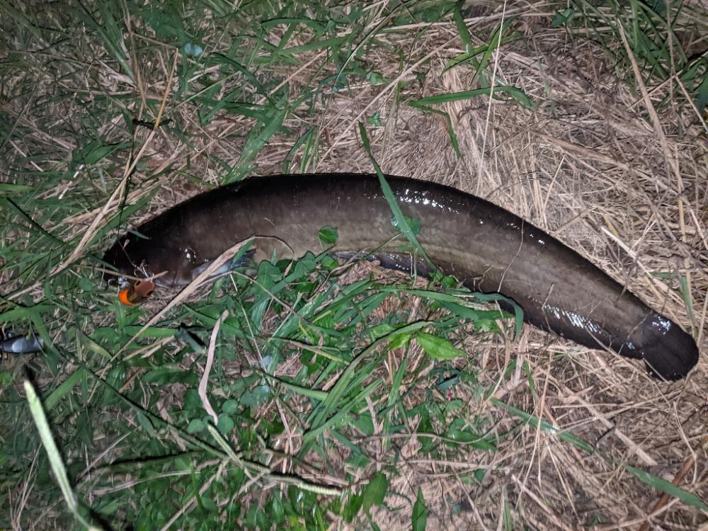 バスつれたのに…