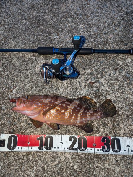 エギング、アジング、ハタゲーム