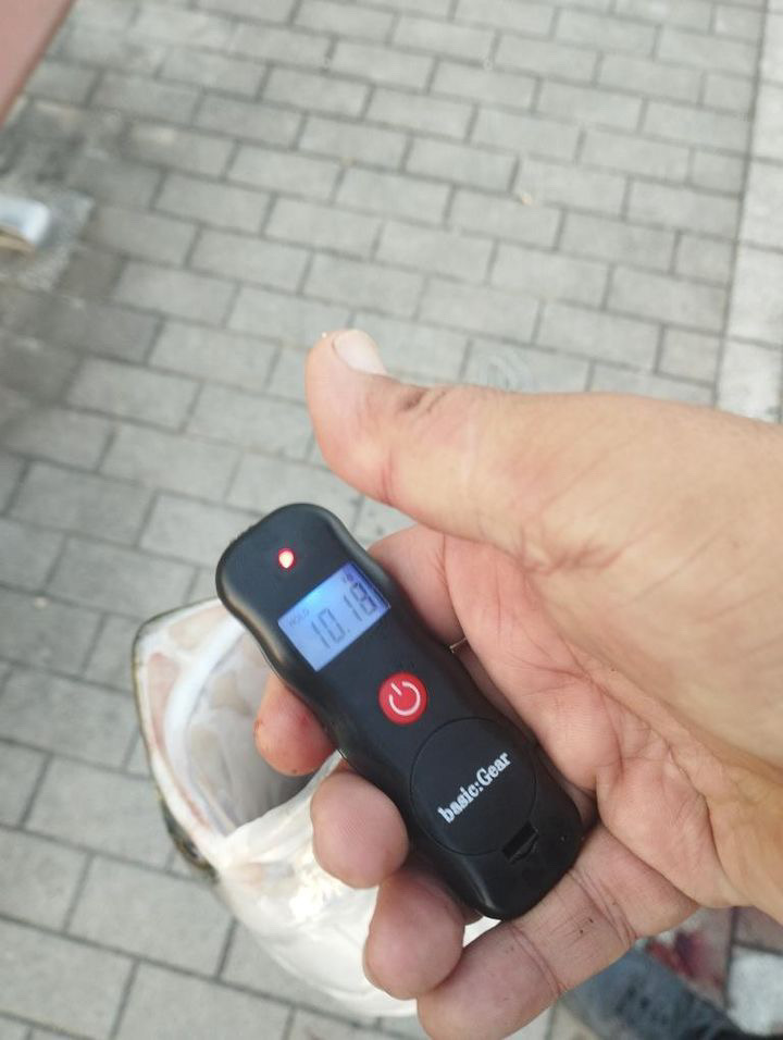 湾奥モンスター10kg鰤