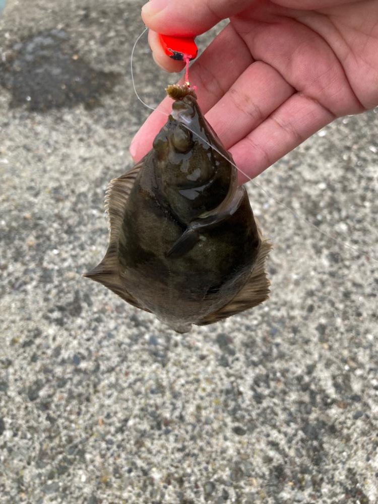 そう甘くはなかった