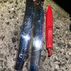 太刀魚6回目