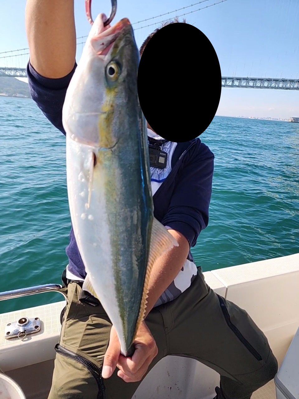 ハマチろうそく&サワラカッター多め