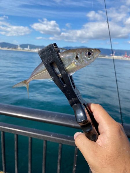 五目釣り、イン初場所、神戸空港