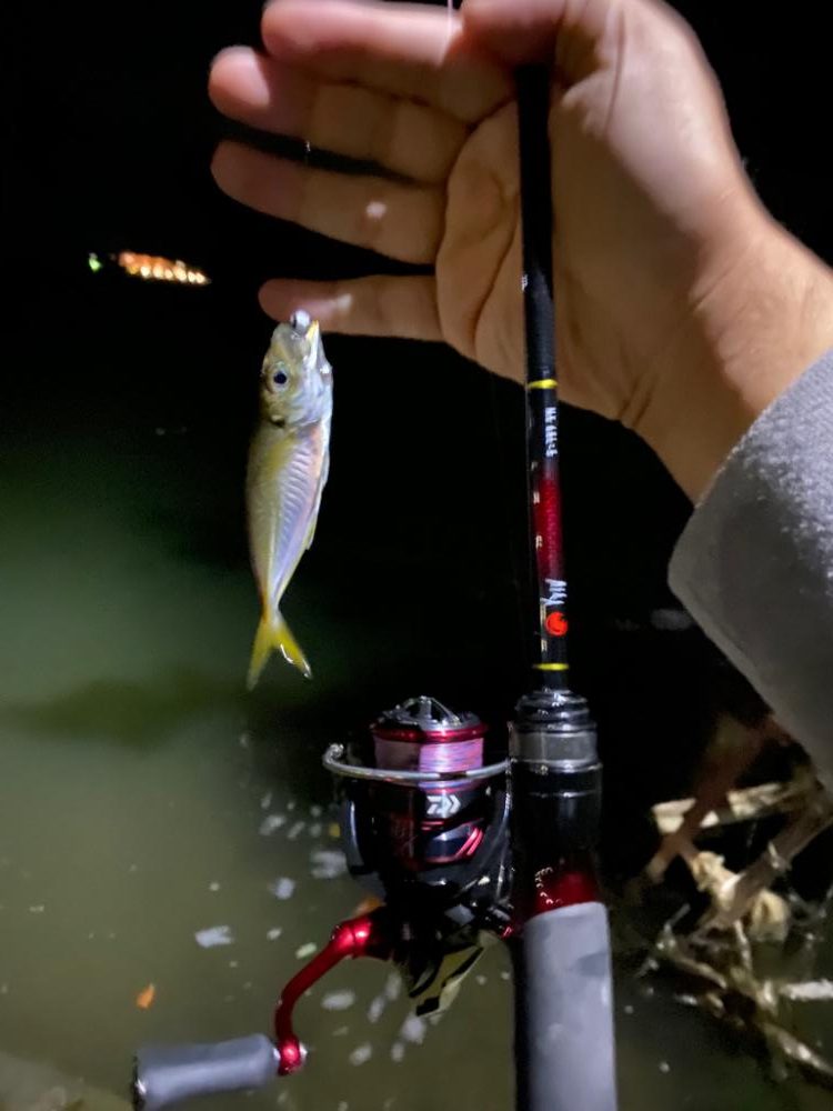 爆風豆アジング