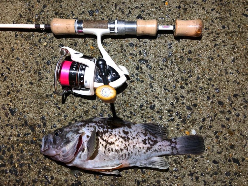 ライトゲーム最高😁✨✨