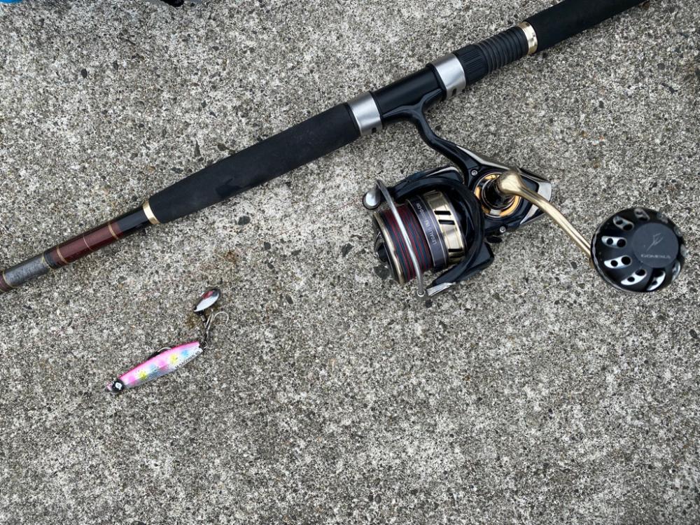 サゴシ祭りは何処へ、、、