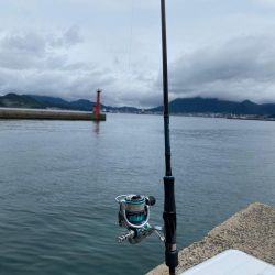小倉でエギング