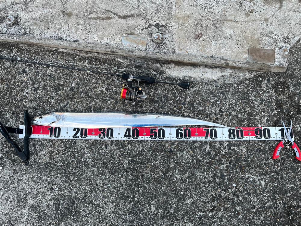 あと少しでドラゴン