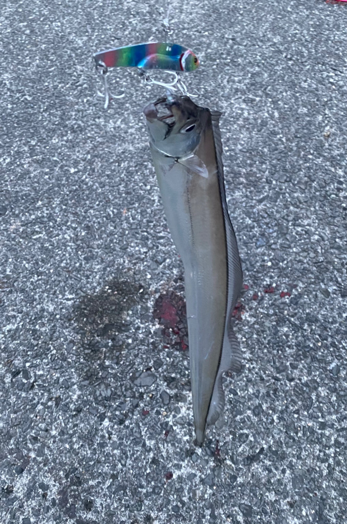 ラッキーダブルパンチ！！