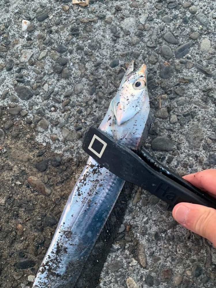 時合に限ってライントラブルします⤵︎