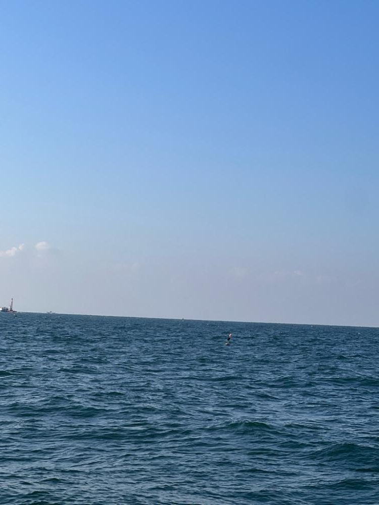 テンヤ後ノマセ釣り