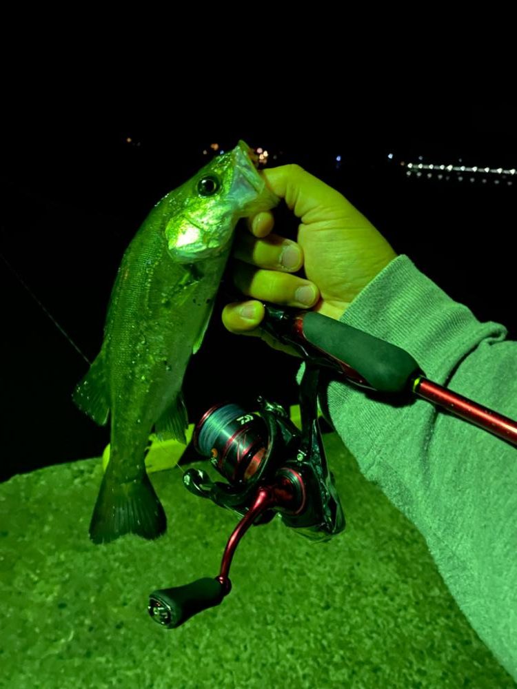 ア、アジング…