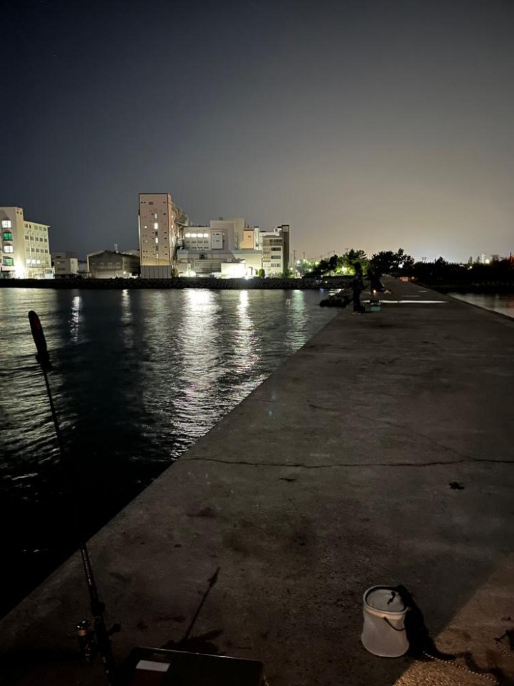 久々のタチウオ