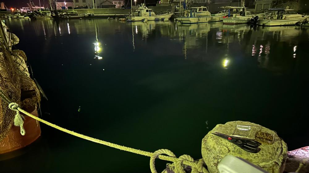 明石へアジング