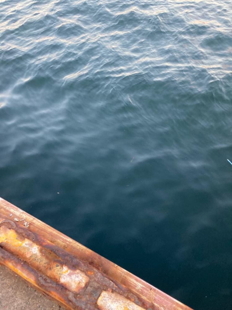 ⭐️サビキストへの道