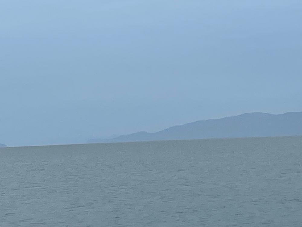 惜しくも、、、