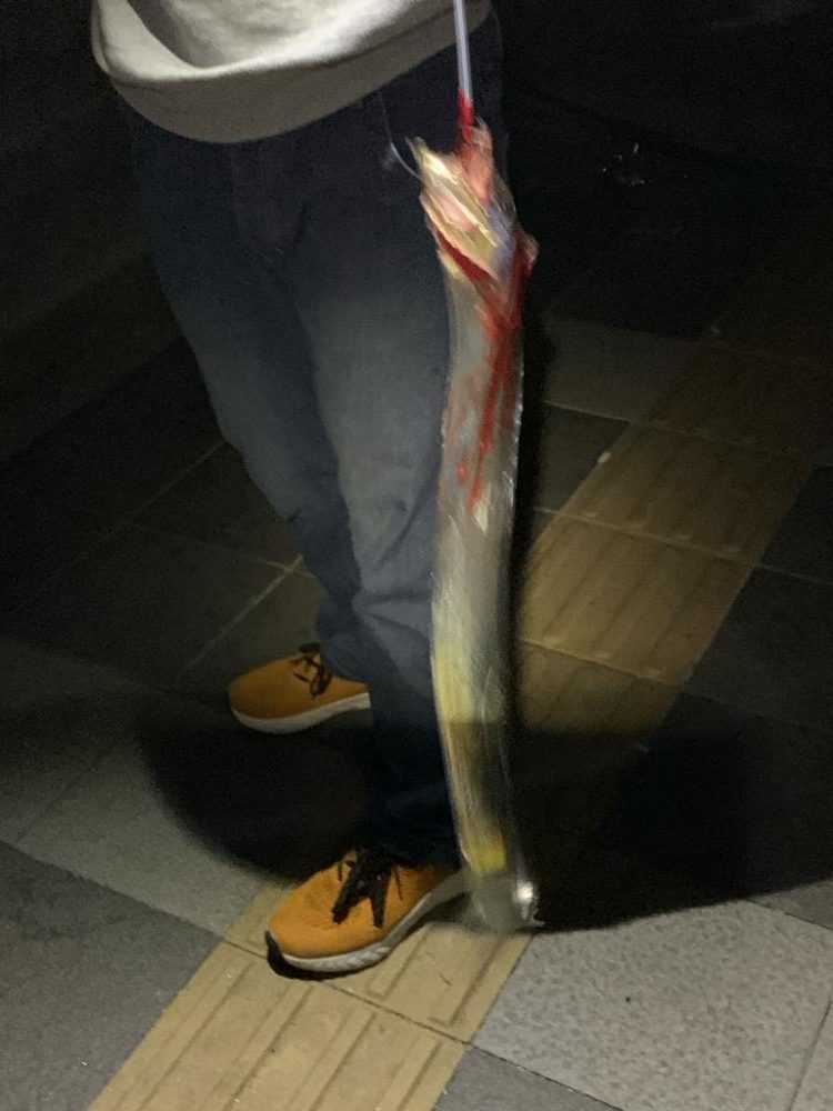 和歌山マリーナシティでタチウオ、アジ、ガシラ