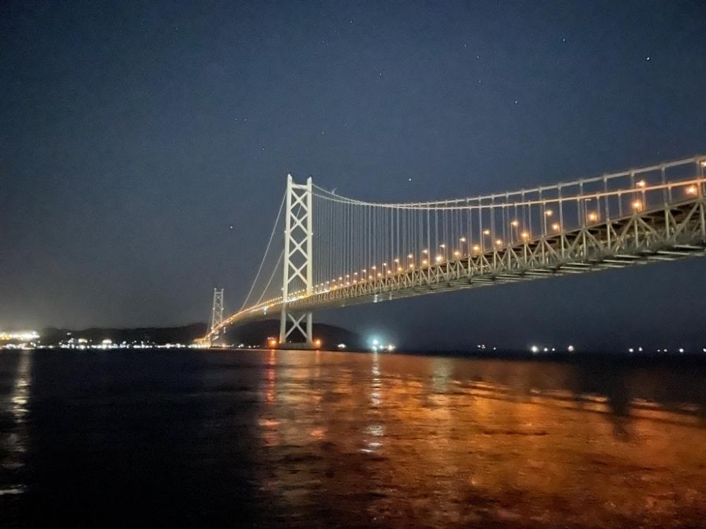 今年初アオリ🦑