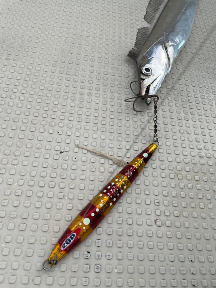 明石のジギング