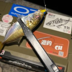 またまた五目達成♪