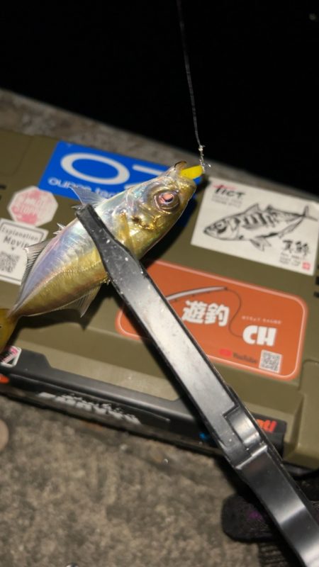 またまた五目達成♪