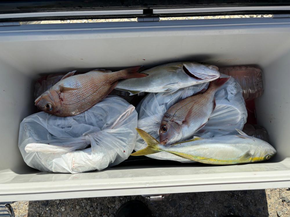 伊勢湾ジギング