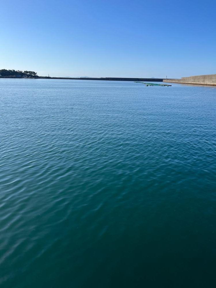 なかなか渋いです。