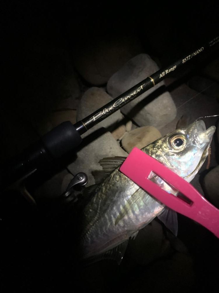 フロートアジング