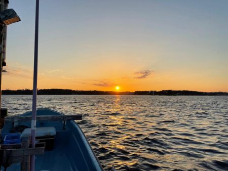 墨族柔でシンカーエギングに