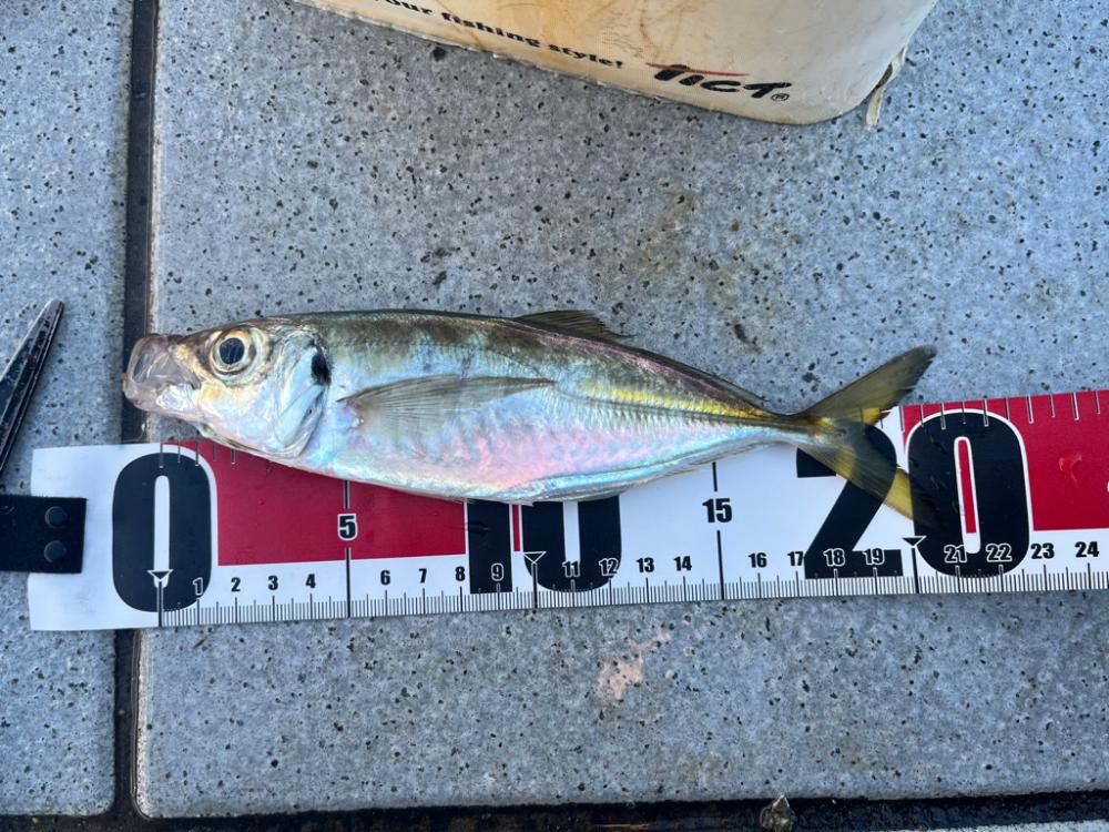 ど干潮からのスタート