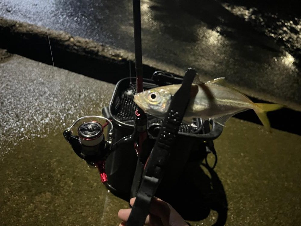 ちょっと夜アジングに