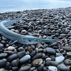 困った時のこのジグ