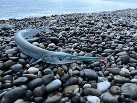 困った時のこのジグ