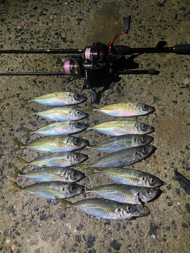 夕まずめも釣れました!