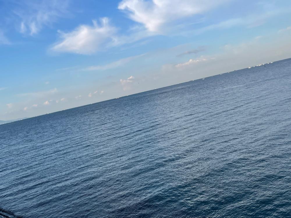 朝練 エギング〜