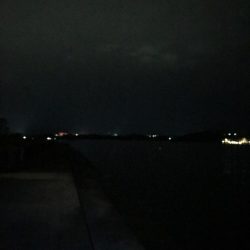 太刀魚はまだか…