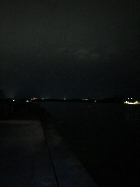 太刀魚はまだか…