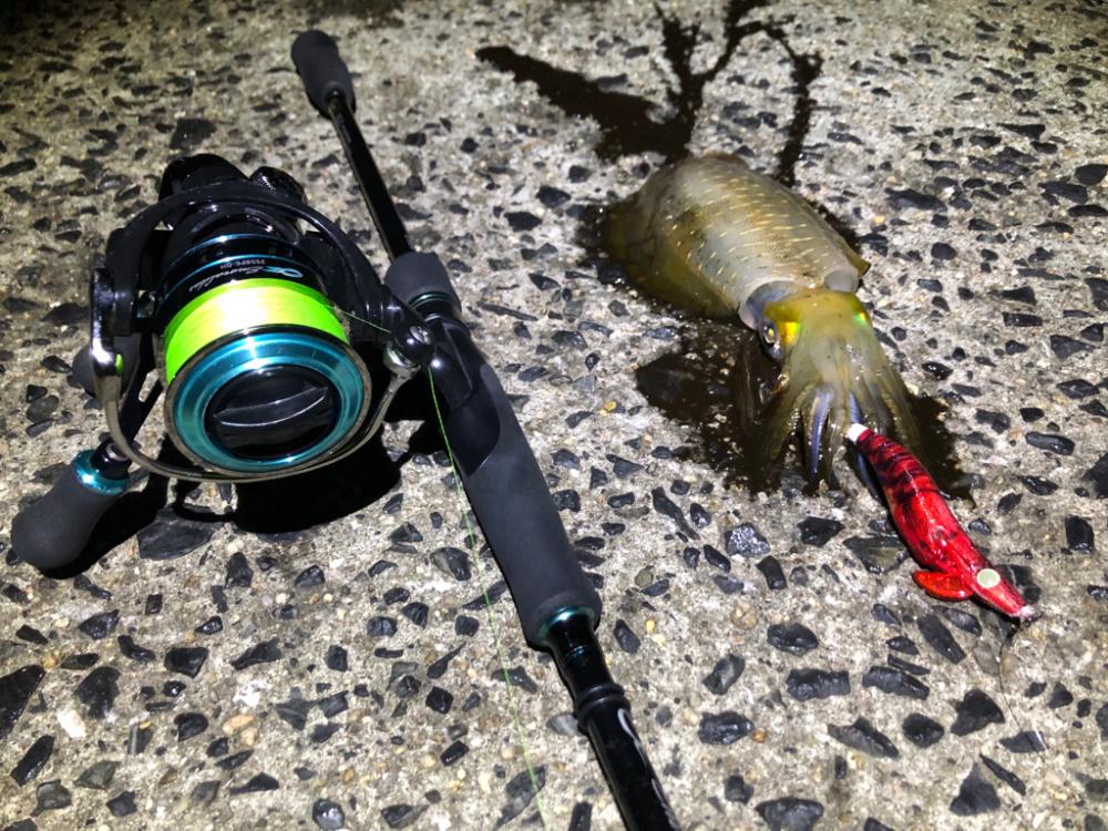 ありがとうございます。