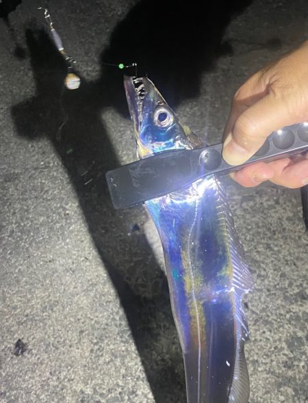 アジングでタチウオ