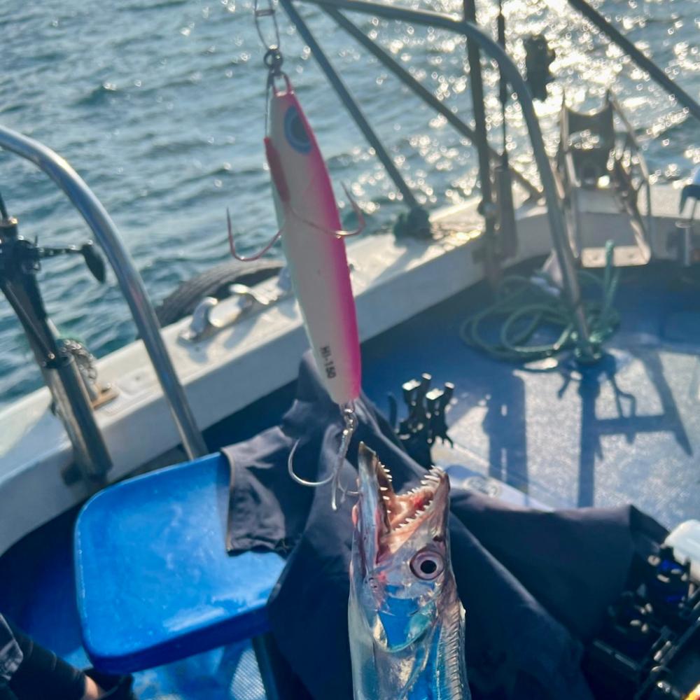 タチウオ/タチウオジギング・タチウオテンヤ